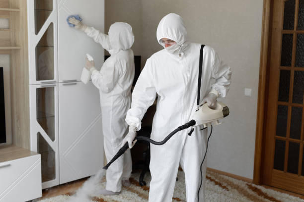 Best Preventive Mold Services in Woodworth, LA